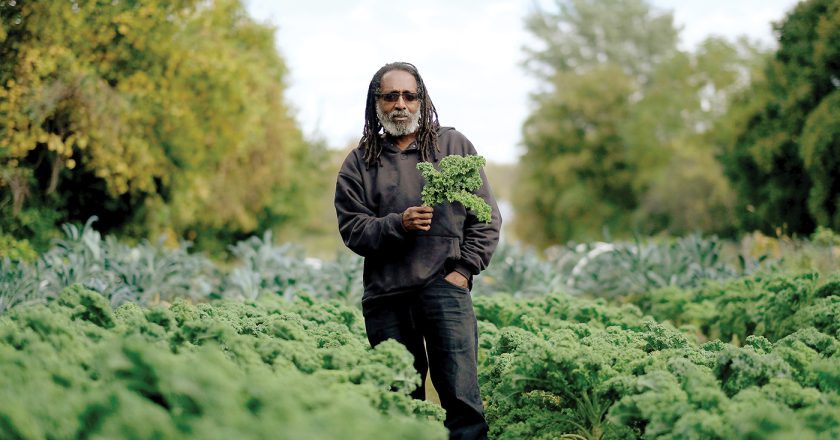 Why Co-ops and Community Farms Can’t Close the Racial Wealth Gap