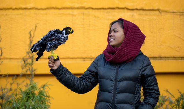Birding Is Booming. So Where Are the Black Birders?