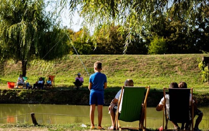 Fun & Free: Summer Activity Ideas For The Family