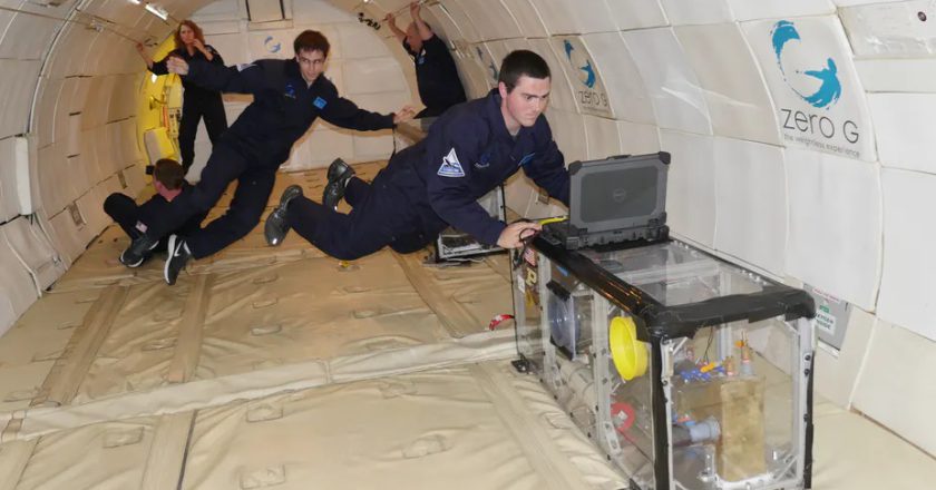 What is the ‘zero gravity’ that people experience in the vomit comet or space flight?