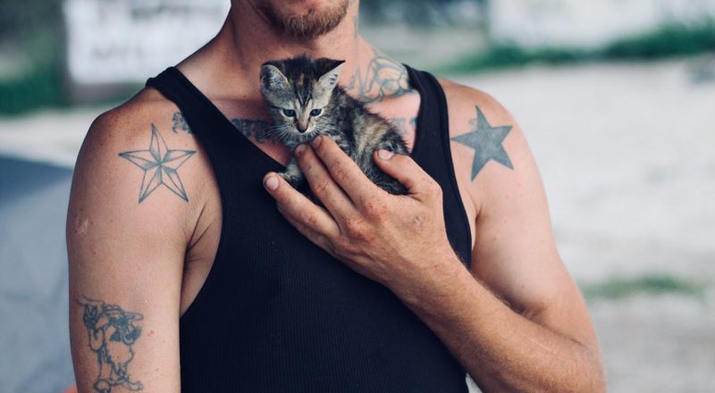 We studied what happens when guys add their cats to their dating app profiles