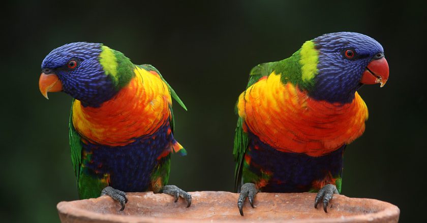 Tips For Evaluating Yourself Before Getting Into A Relationship