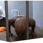 Leaving Them To Carry The Burden At Home – 1 In 4 Women Have A Family Member In Prison