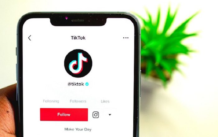 TikTok Fears: A Closer Look At The Problem Of Poor Media Literacy In The Age Of Social Media