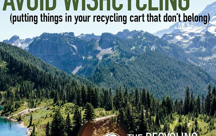 Two Waste Experts Explain What Wishcycling Is