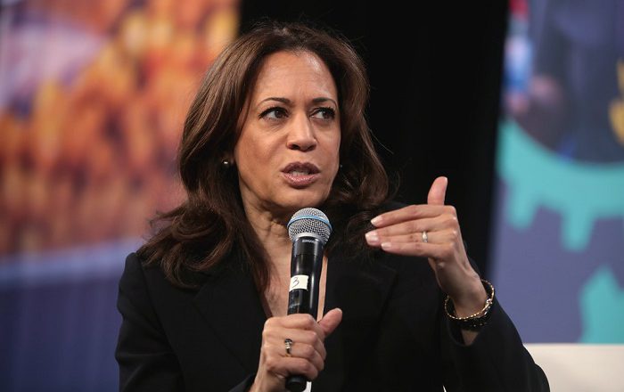Kamala Harris Fights For Democracy At Home And Abroad