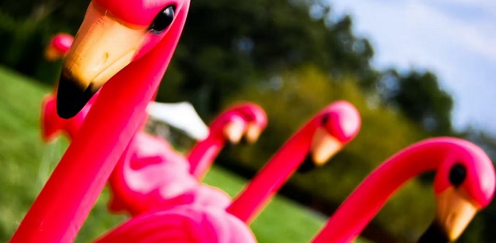 The Cultural History Of The Plastic Pink Flamingo – From Kitsch To Park Avenue