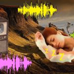 Exploring The Beauty Sleep Science