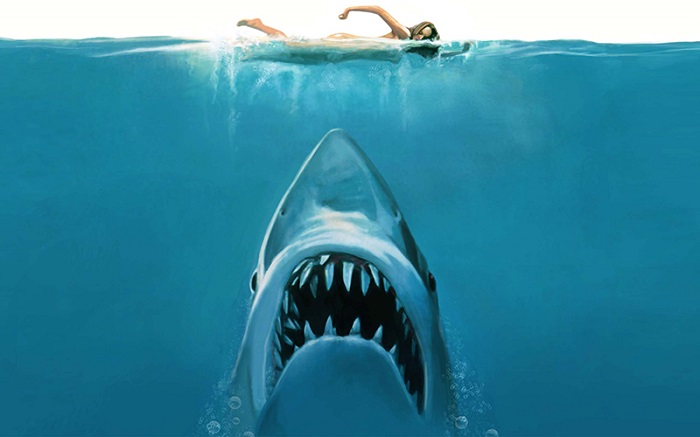 50 Years Ago ‘Jaws’ Portrayed Sharks As Monsters And Inspired A Generation Of Shark Scientists