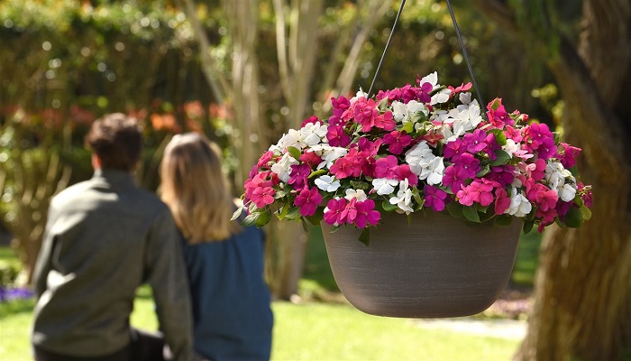 Boost Your Well-Being With Garden Therapy