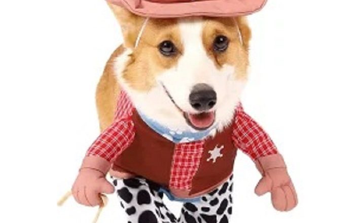 Don’t Leave Out Your Fur Babies This Halloween!